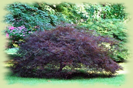 img-6375-nahled